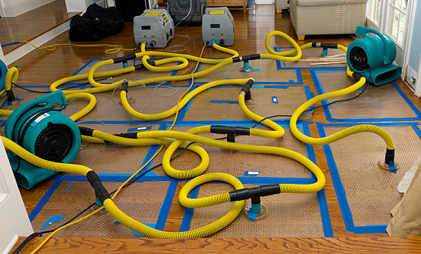 Professional Burst Pipe Water Damage technician working in Francestown, NH